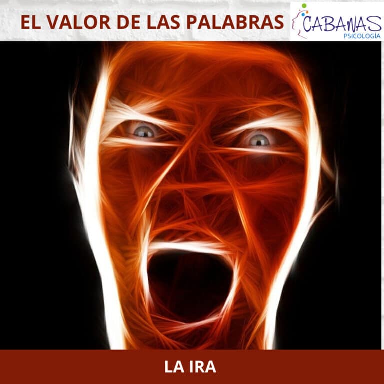 El Valor de la Palabra: La Ira