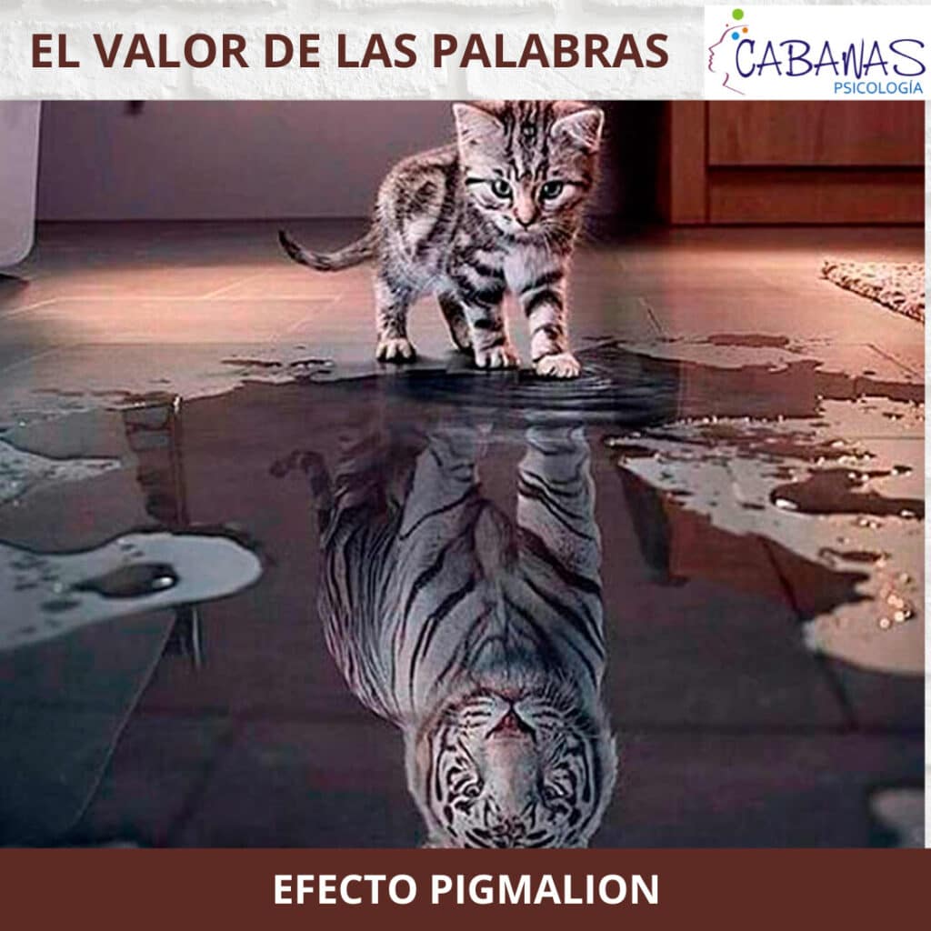 El Valor de las Palabras: Efecto Pigmalión